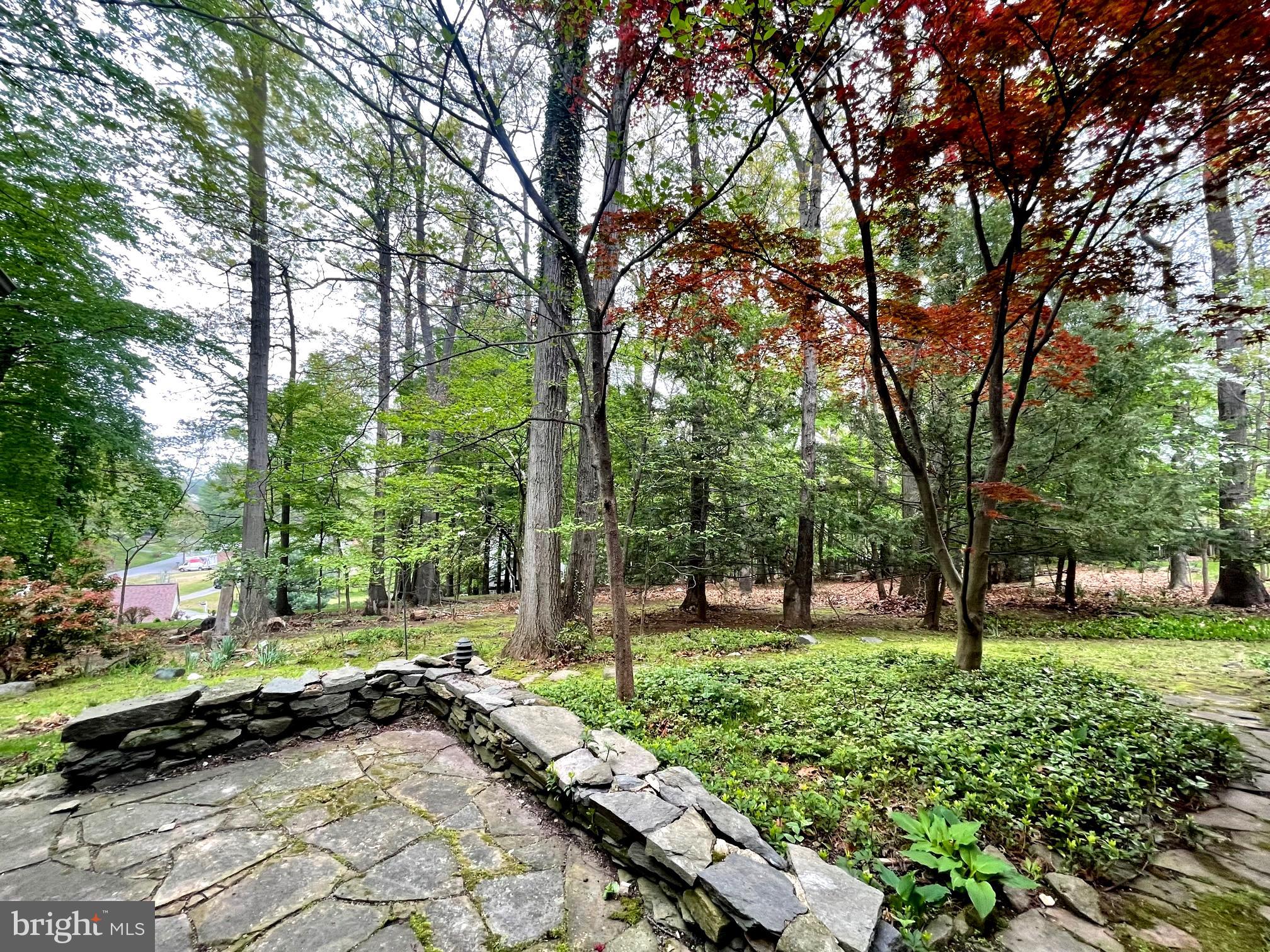 9509 Grover Road Gaithersburg, MD 20877 - Photo 61 of 70 Backyard with trees