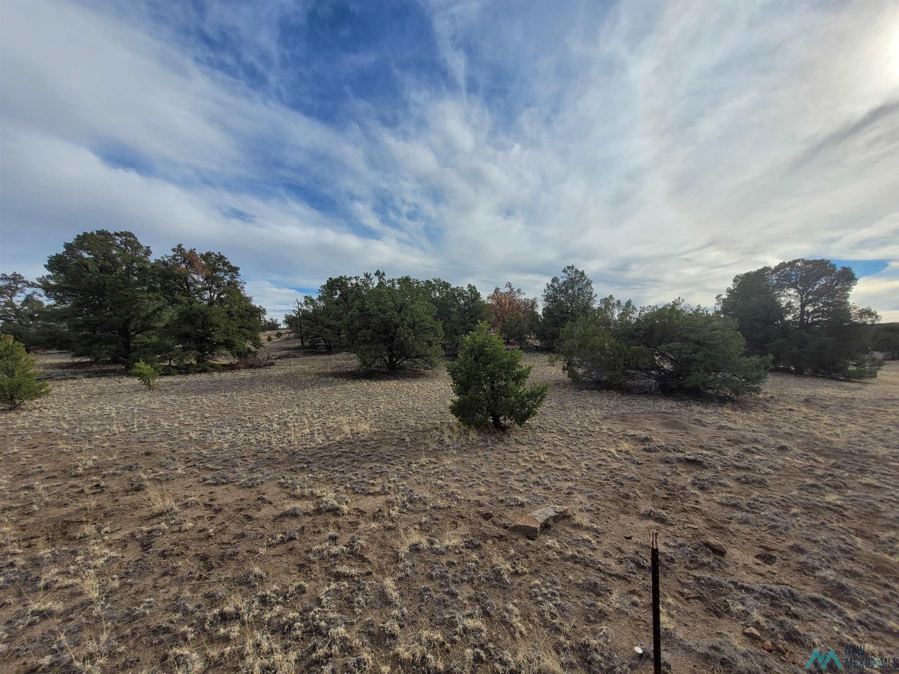 47 Cougar Run Datil, NM 87821 - Photo 4 of 38 Gallery Image 4
