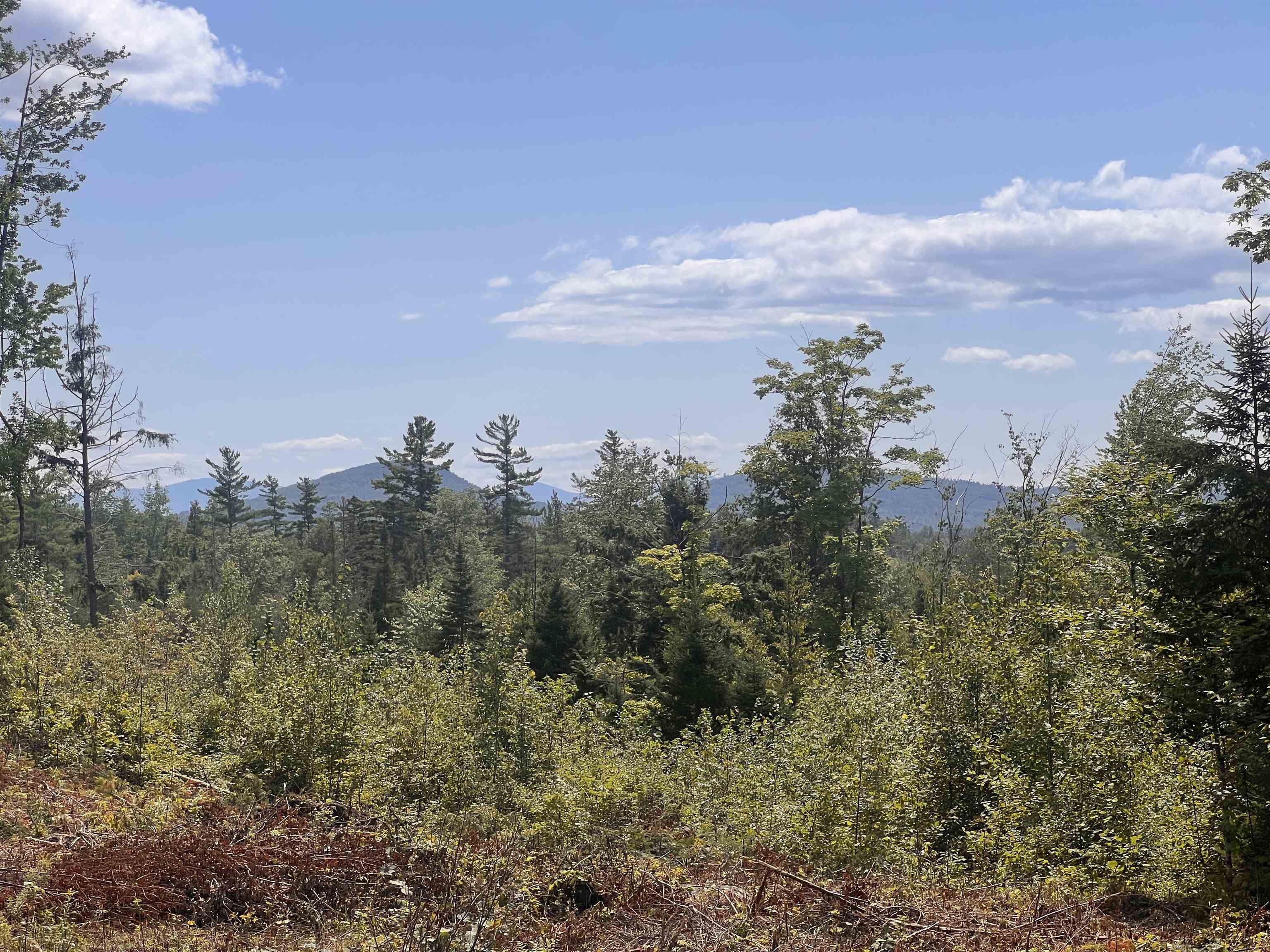 0 Spaulding Hill Road Lancaster, NH 03584 - Photo 22 of 28