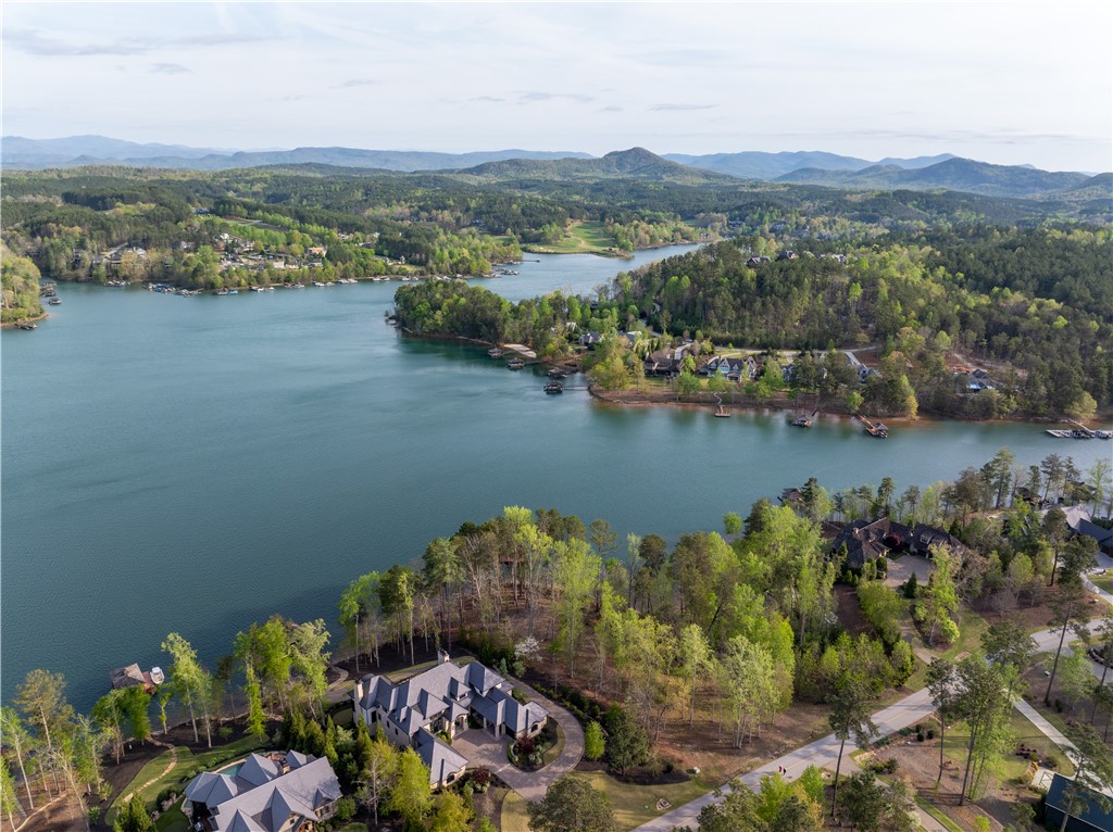 390 Peninsula Ridge Sunset, SC 29685 - Photo 10 of 35
