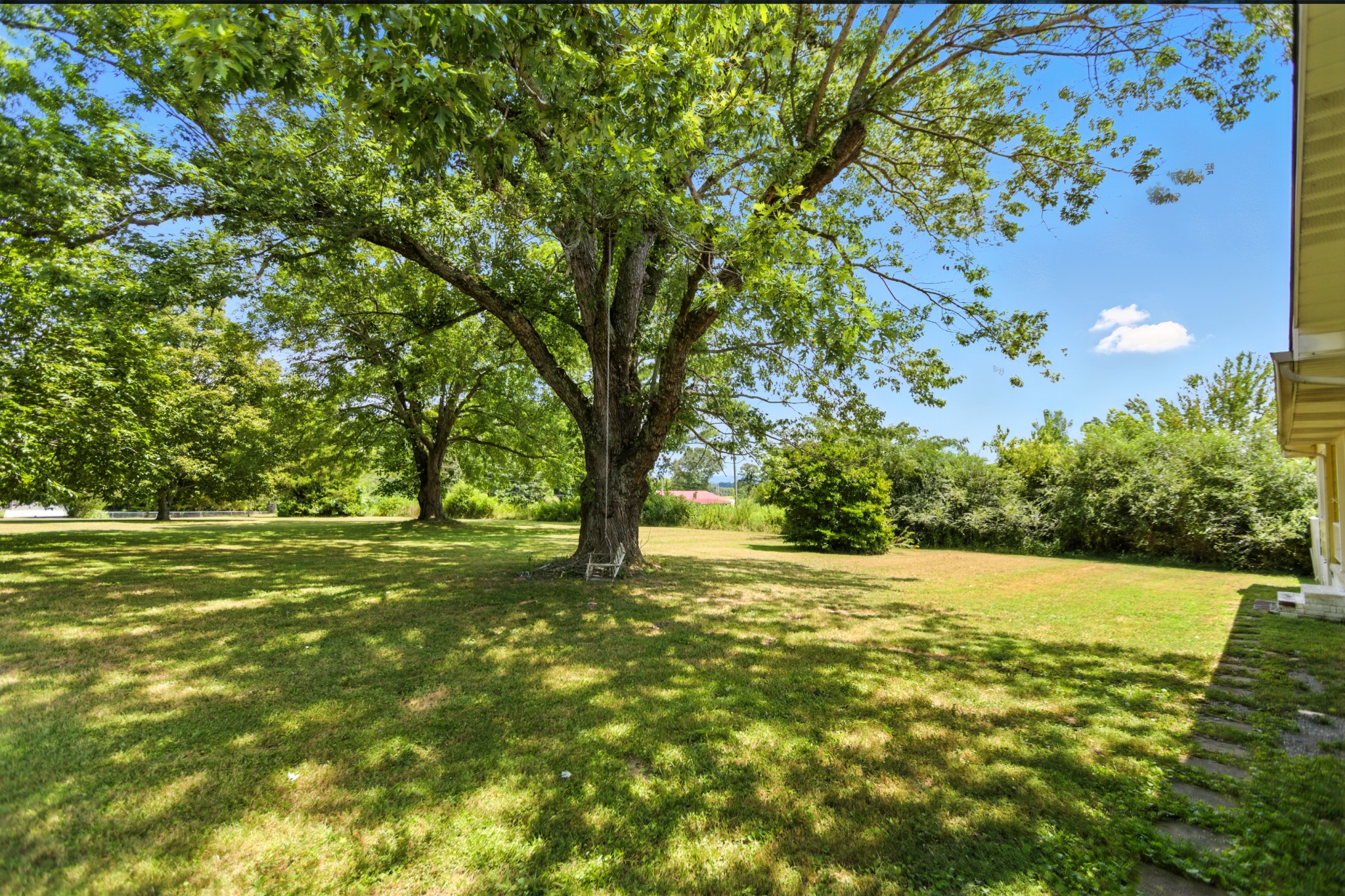 1840 Lockmiller Road Estill Springs, TN 37330 - Photo 23 of 71 a view of a field with trees in the background