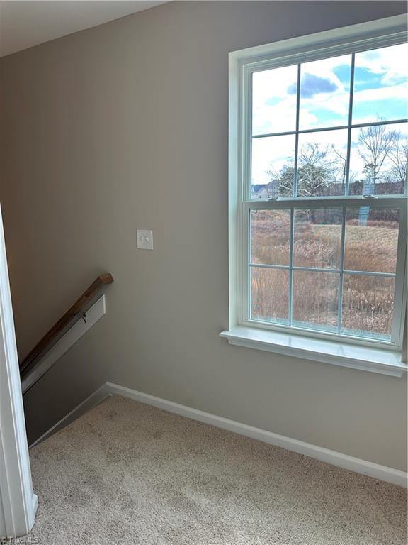 3195 Riley Ford Trail High Point, NC 27265 - Photo 17 of 32
