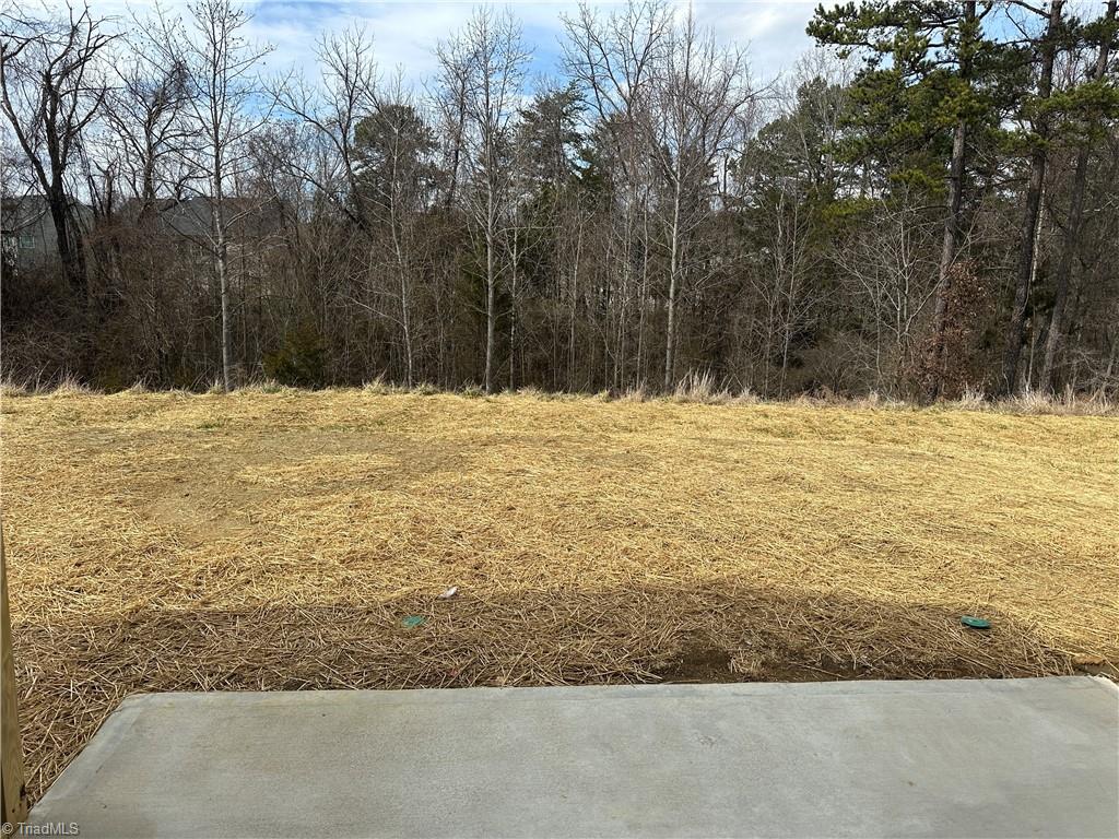 3195 Riley Ford Trail High Point, NC 27265 - Photo 31 of 32