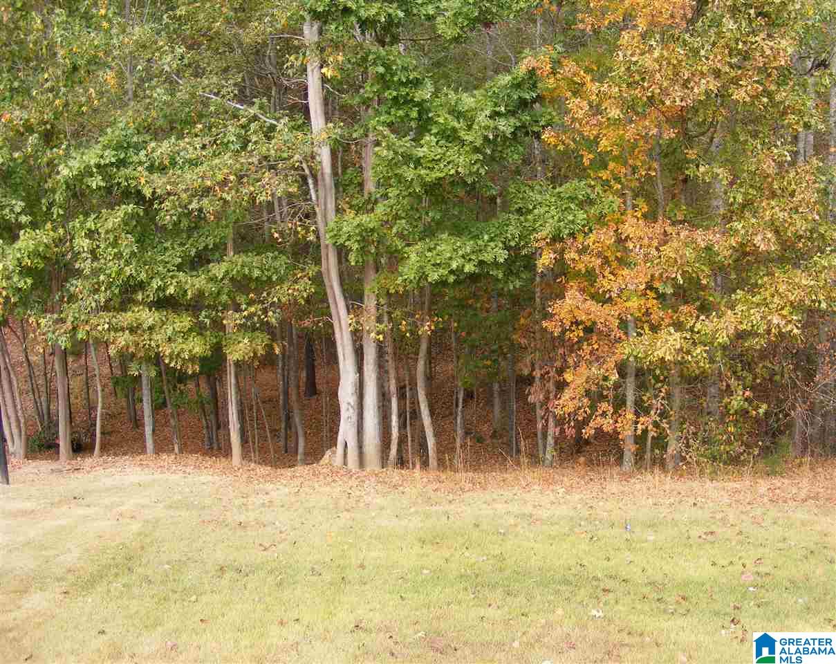 365 Deer Ridge Lane Chelsea, AL 35043 - Photo 47 of 50