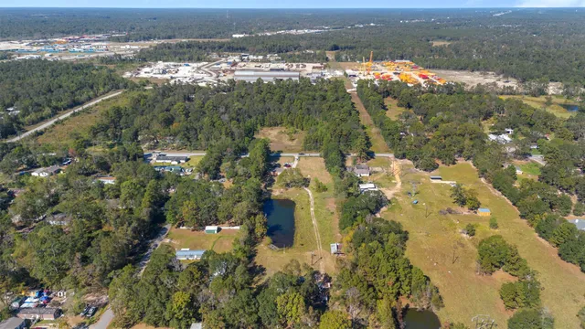a view of a yard with a tree
