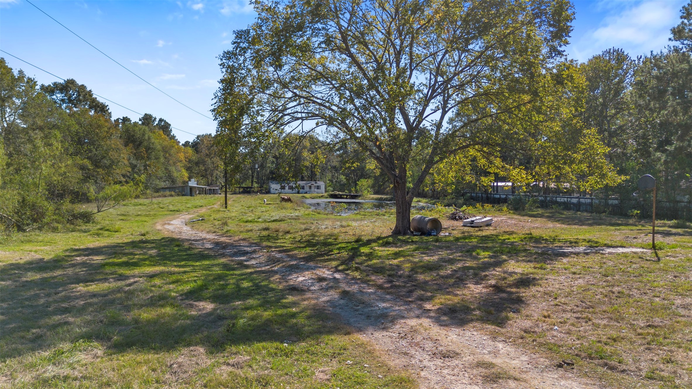 27182 East River Road Splendora, TX 77372 - Photo 37 of 40 a view of a yard with a tree