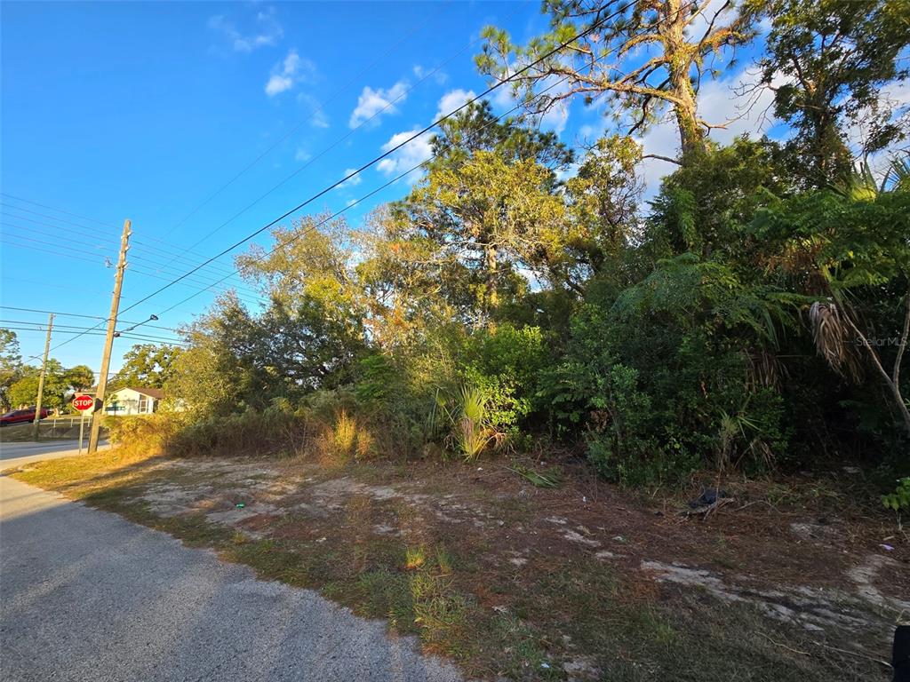 a view of street with green space