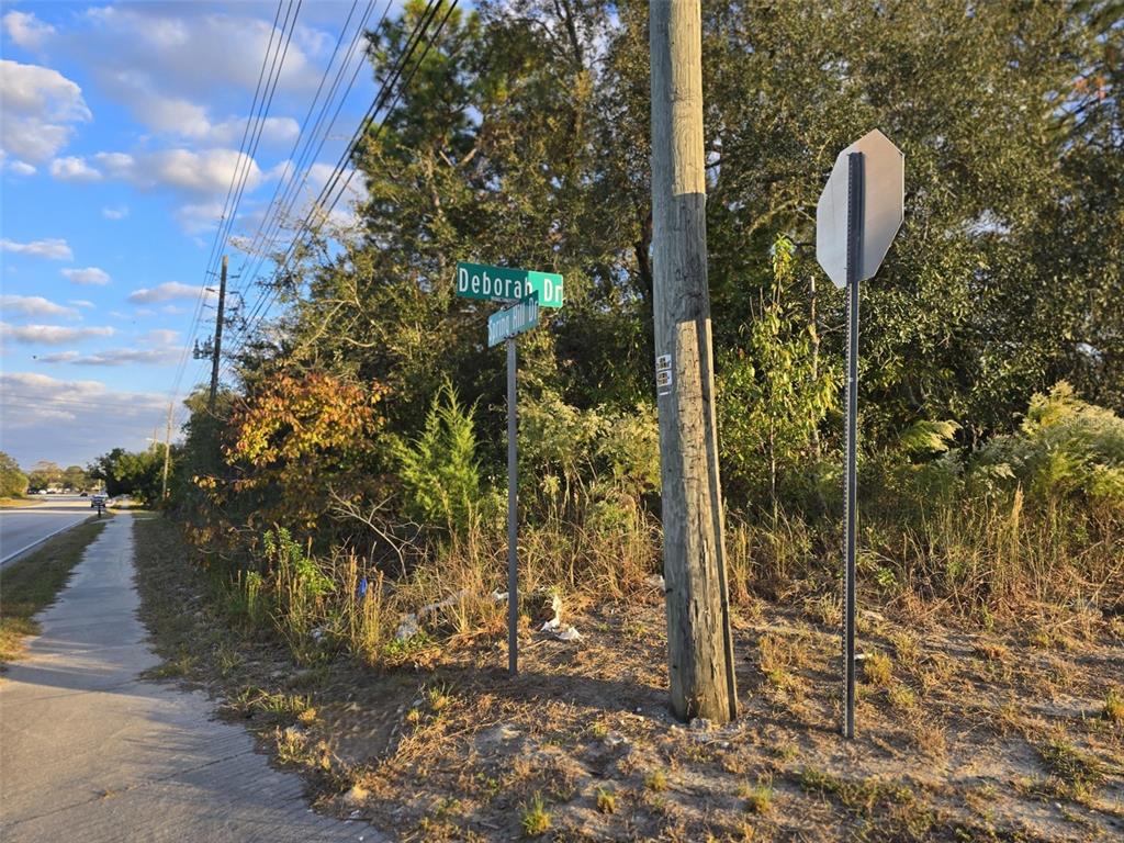 11290 Spring Hill Drive Spring Hill, FL 34609 - Photo 3 of 15 a backyard of a house with lots of green space