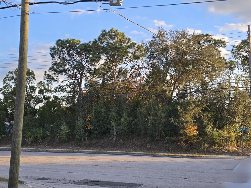 11290 Spring Hill Drive Spring Hill, FL 34609 - Photo 4 of 15 a view of a yard