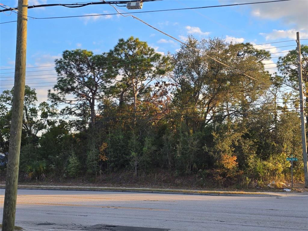 11290 Spring Hill Drive Spring Hill, FL 34609 - Photo 5 of 15 a view of a tree in front of a door