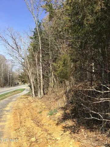 $18,905 | 2 West Andrew Johnson Highway, Unit LOT 2, Bulls Gap, TN 37711