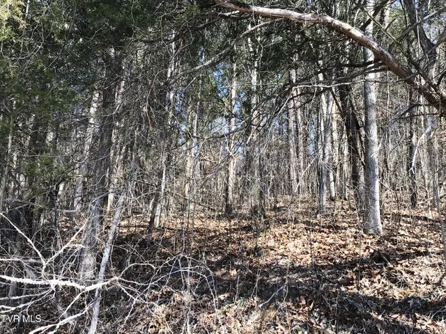 $18,905 | 2 West Andrew Johnson Highway, Unit LOT 2, Bulls Gap, TN 37711