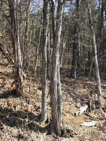 $18,905 | 2 West Andrew Johnson Highway, Unit LOT 2, Bulls Gap, TN 37711