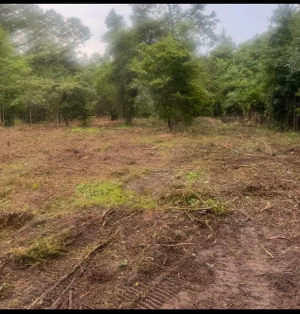 $90,000 | 1 Abandon Lane, Summerville, SC 29486