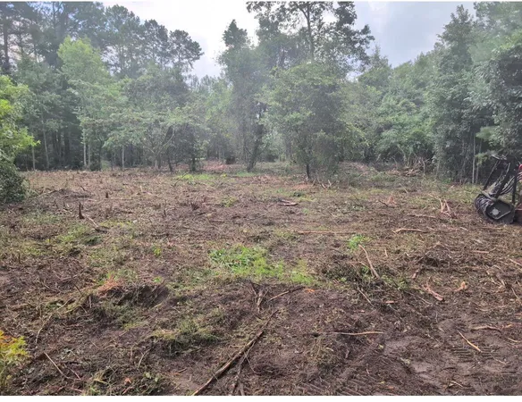 $90,000 | 1 Abandon Lane, Summerville, SC 29486