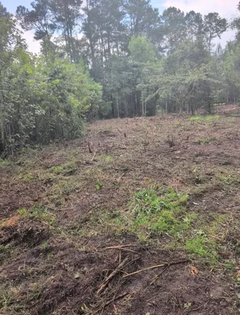 $90,000 | 1 Abandon Lane, Summerville, SC 29486