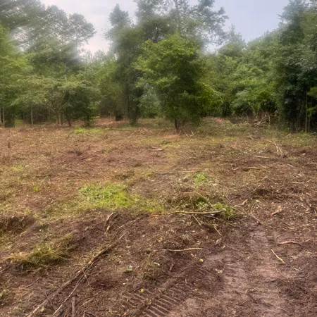 $90,000 | 1 Abandon Lane, Summerville, SC 29486