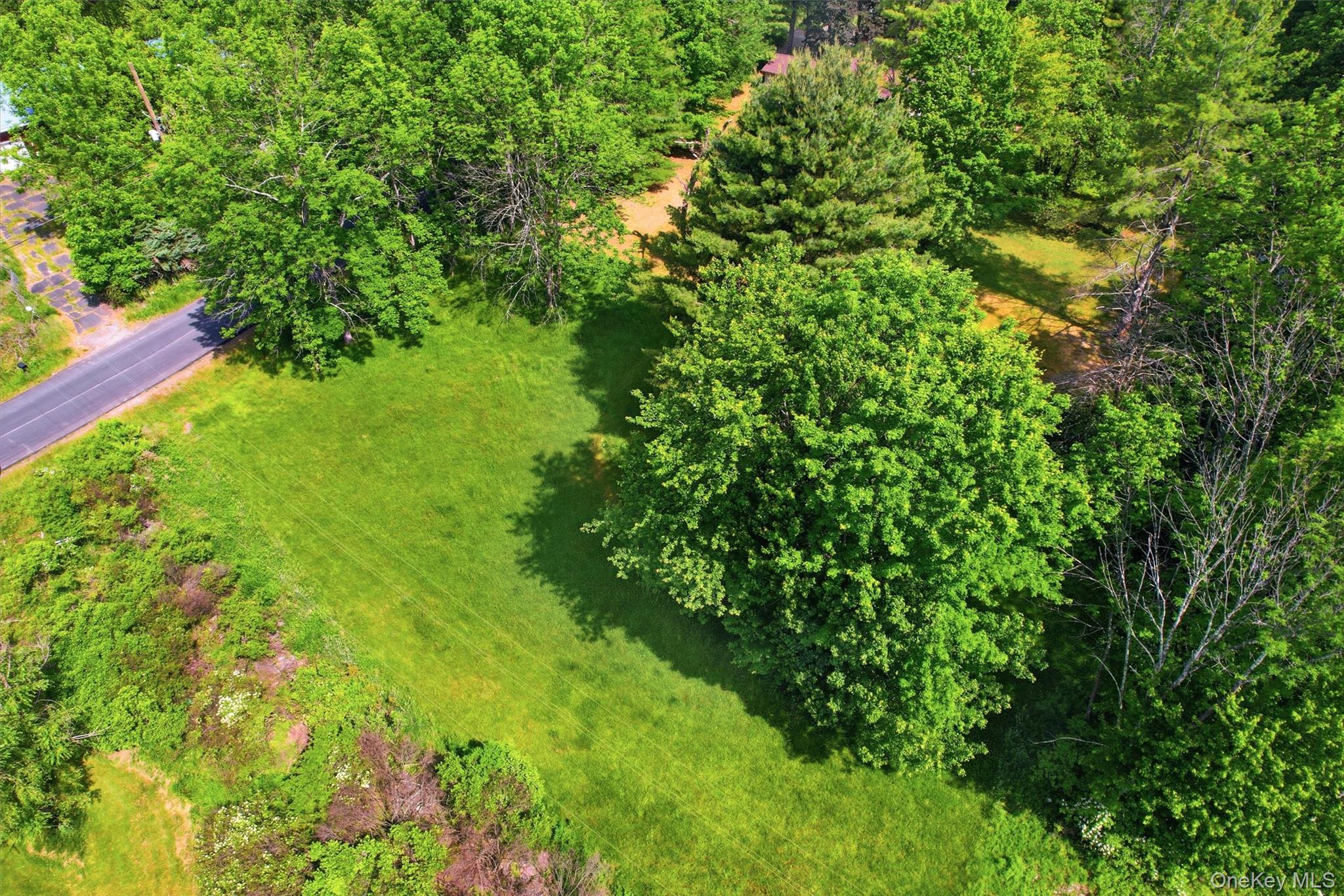Tbd Britman Road Bethel, NY 12720 - Photo 10 of 16