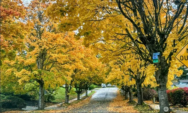 a picture of floor plan