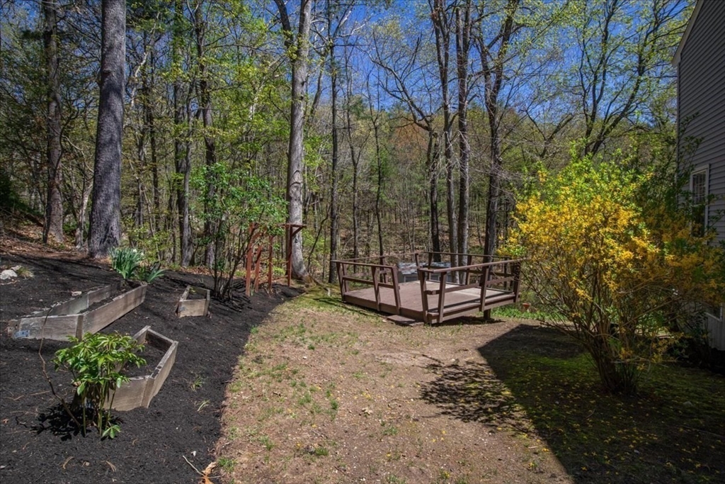 15 Lee Road Medfield, MA 02052 - Photo 33 of 42 Gallery Image 33