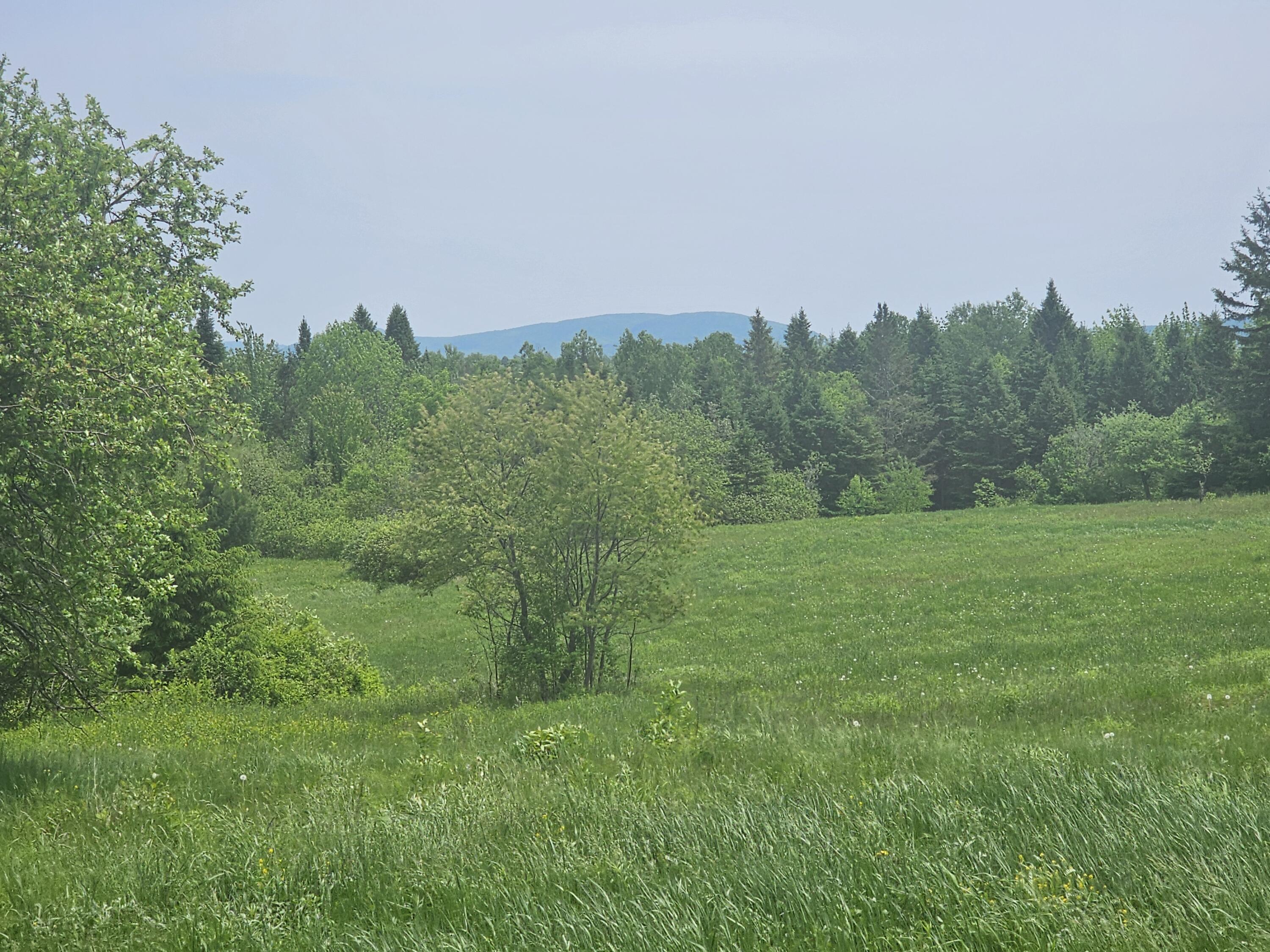 285 Retreat Road Hersey, ME 04747 - Photo 14 of 45 20260606_115658