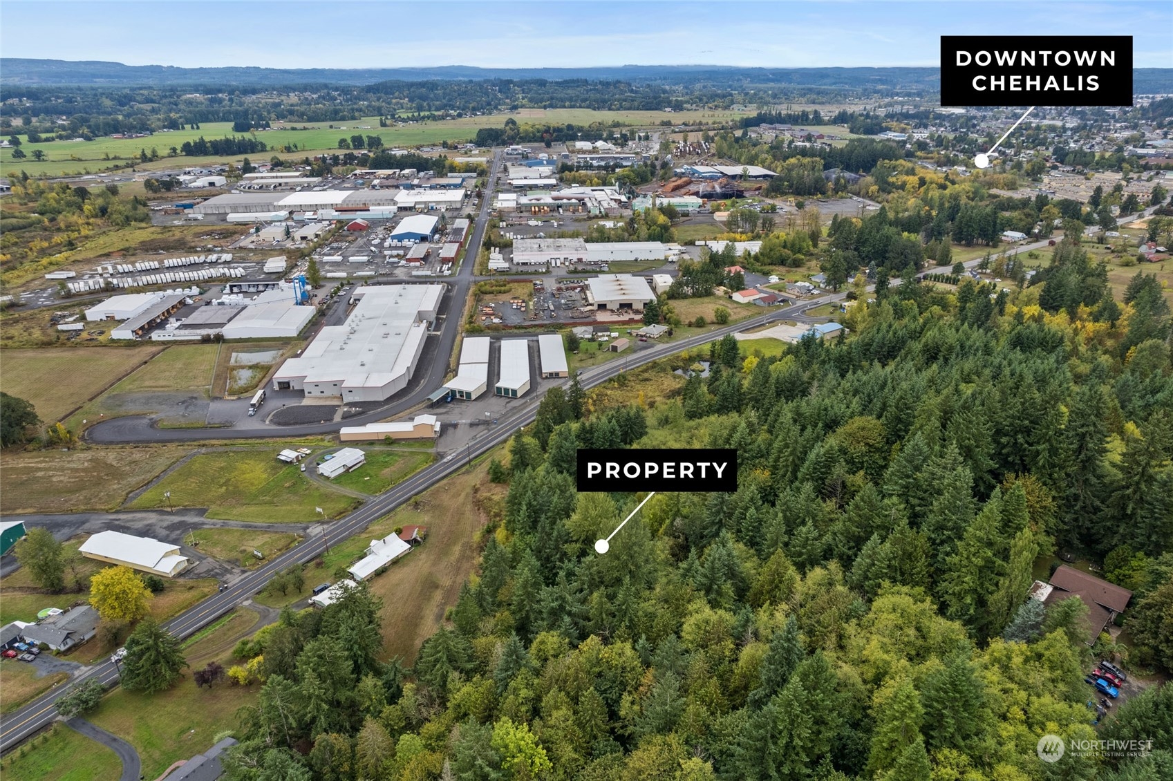 2585 Jackson Highway Chehalis, WA 98532 - Photo 3 of 10