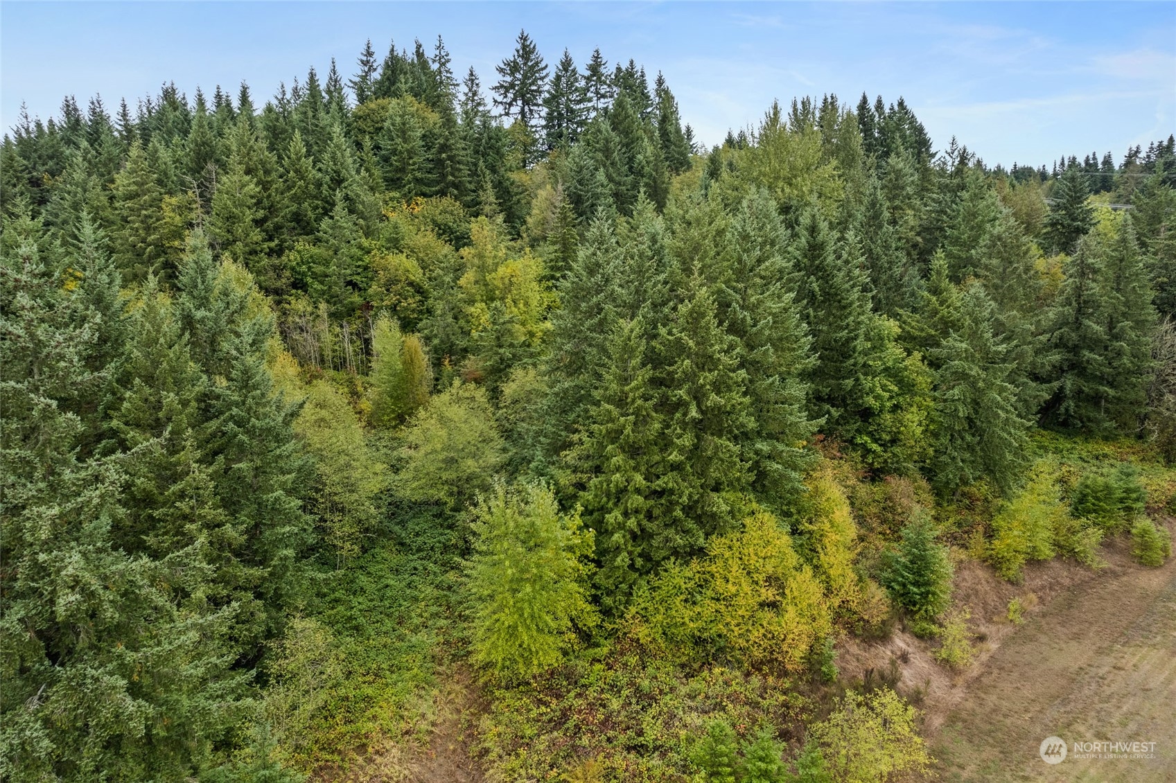 2585 Jackson Highway Chehalis, WA 98532 - Photo 10 of 10