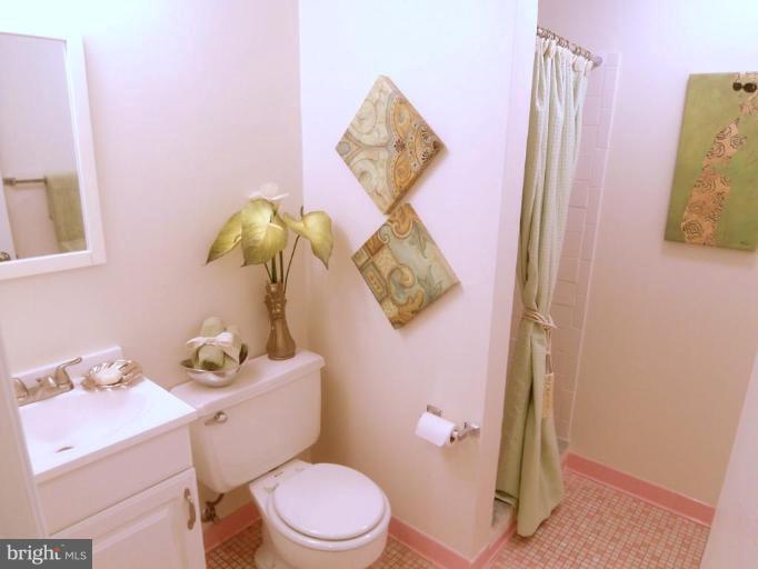 11413 Vale Road Oakton, VA 22124 - Photo 14 of 30 LL Full Bath