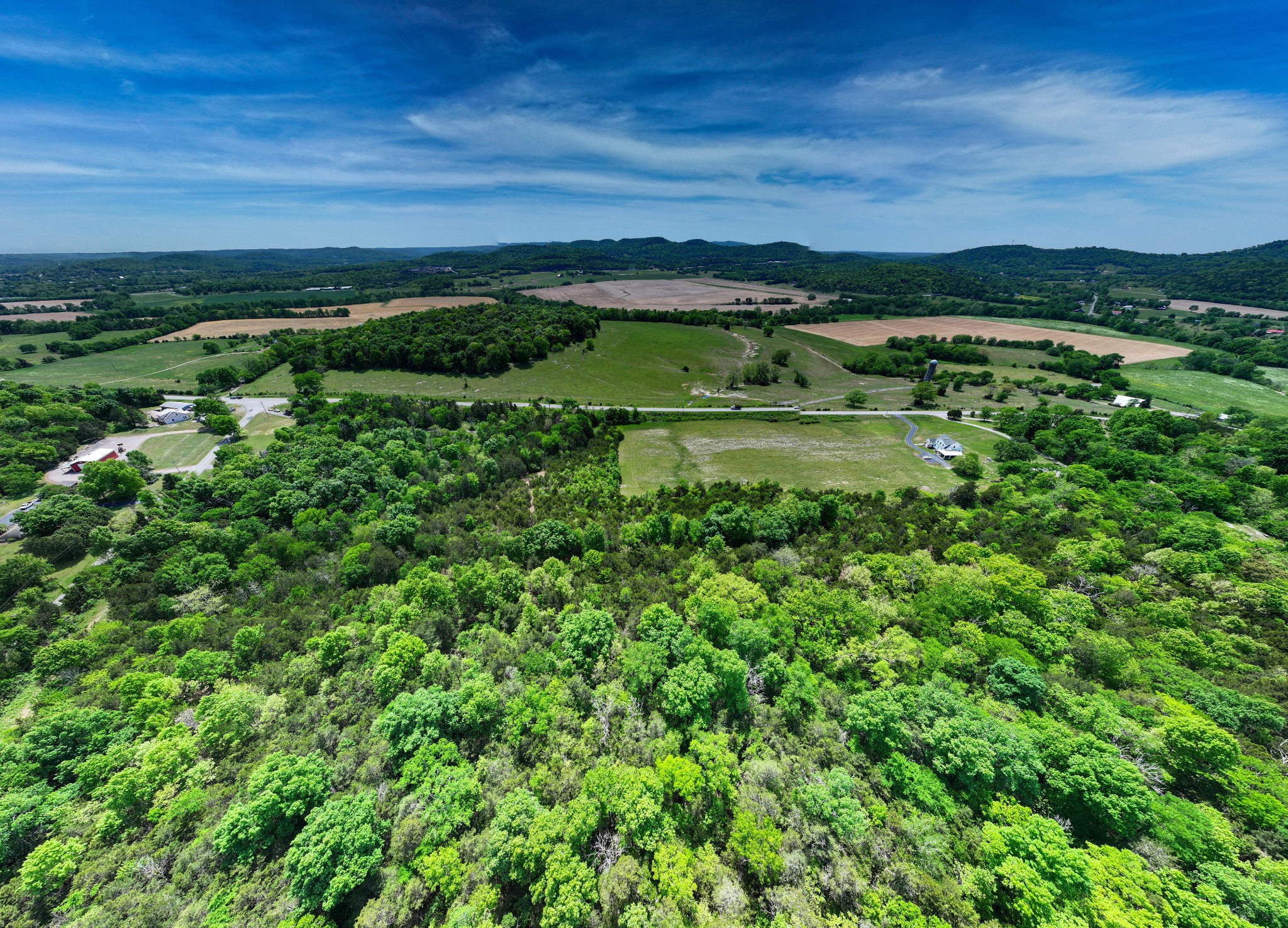 1 Murfreesboro Road Readyville, TN 37149 - Photo 13 of 19 a view of a lush green forest with houses