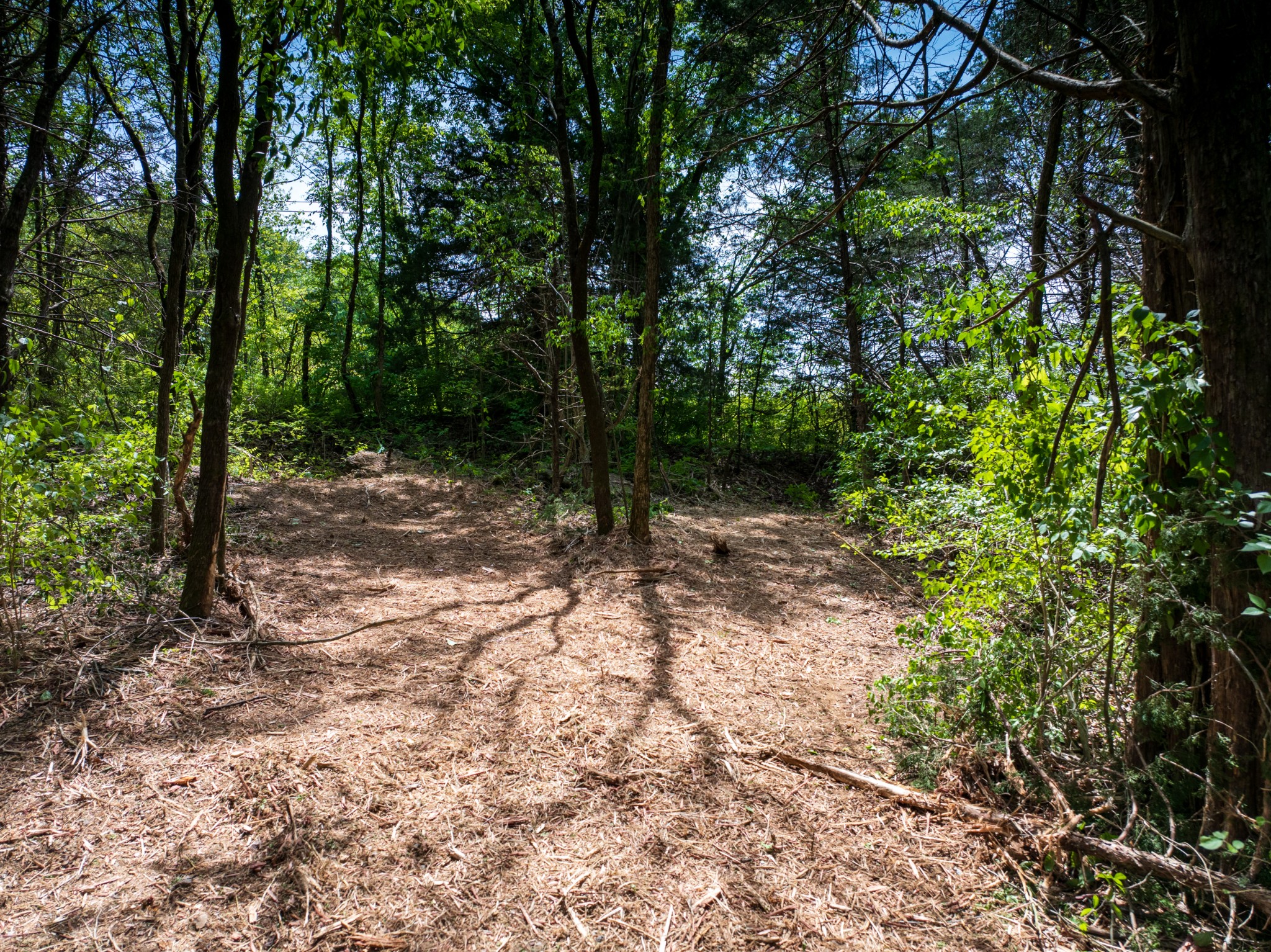 1 Murfreesboro Road Readyville, TN 37149 - Photo 16 of 19 a backyard of a house with lots of green space