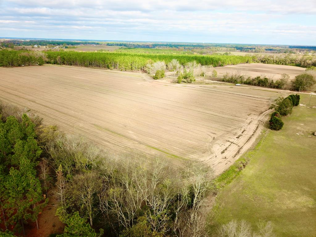 3.42-acres Summer Road Slocomb, AL 36375 - Photo 12 of 24