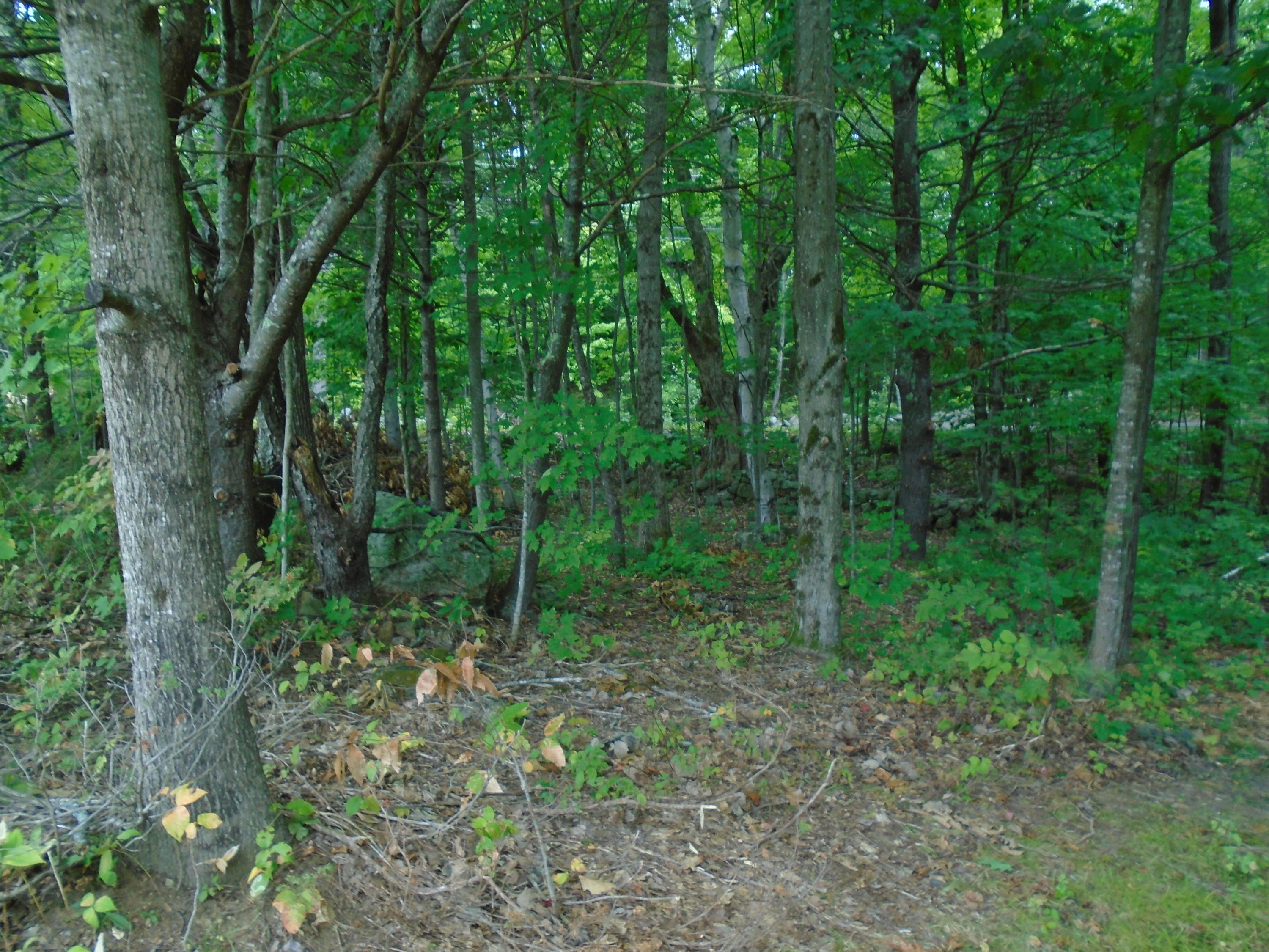 216 Sanborn Road Newfield, ME 04095 - Photo 22 of 33 DSC02081