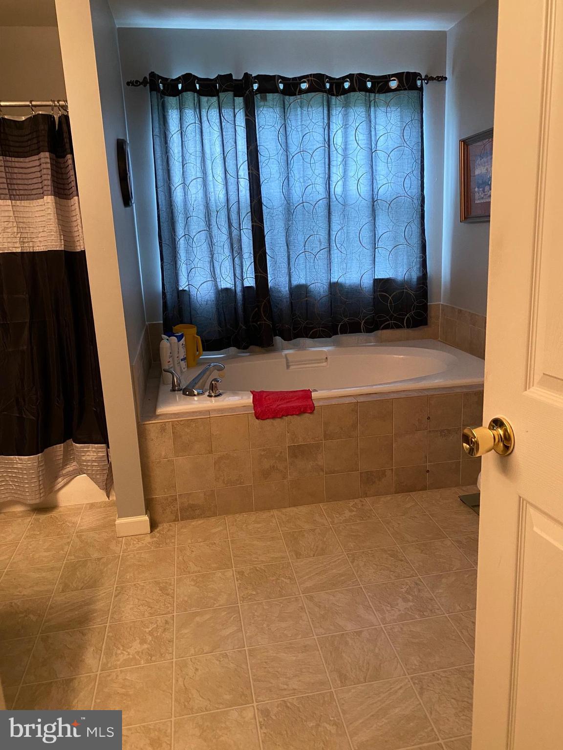 515 West Reeser Street Leesport, PA 19533 - Photo 28 of 39 soaker tub in main bath