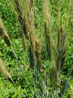 $250,000 | L2 North Hay Hollow, Blanchardville, WI 53516