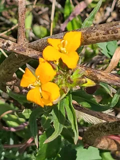 $250,000 | L2 North Hay Hollow, Blanchardville, WI 53516