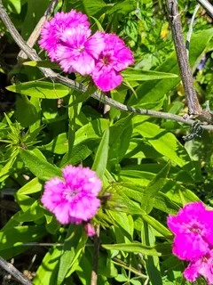 $250,000 | L2 North Hay Hollow, Blanchardville, WI 53516