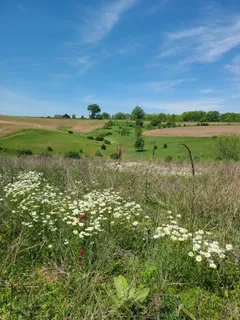 $250,000 | L2 North Hay Hollow, Blanchardville, WI 53516