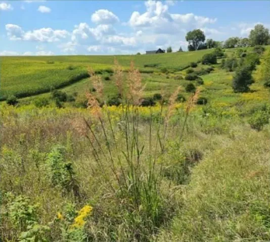 $250,000 | L2 North Hay Hollow, Blanchardville, WI 53516