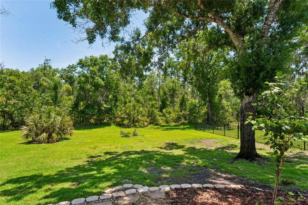 1087 Riverside Ridge Road Tarpon Springs, FL 34688 - Photo 77 of 96 Gallery Image 77