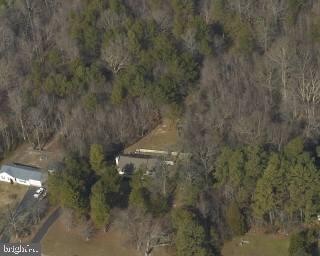 25022 Collins Wharf Road Eden, MD 21822 - Photo 7 of 10 a view of a forest