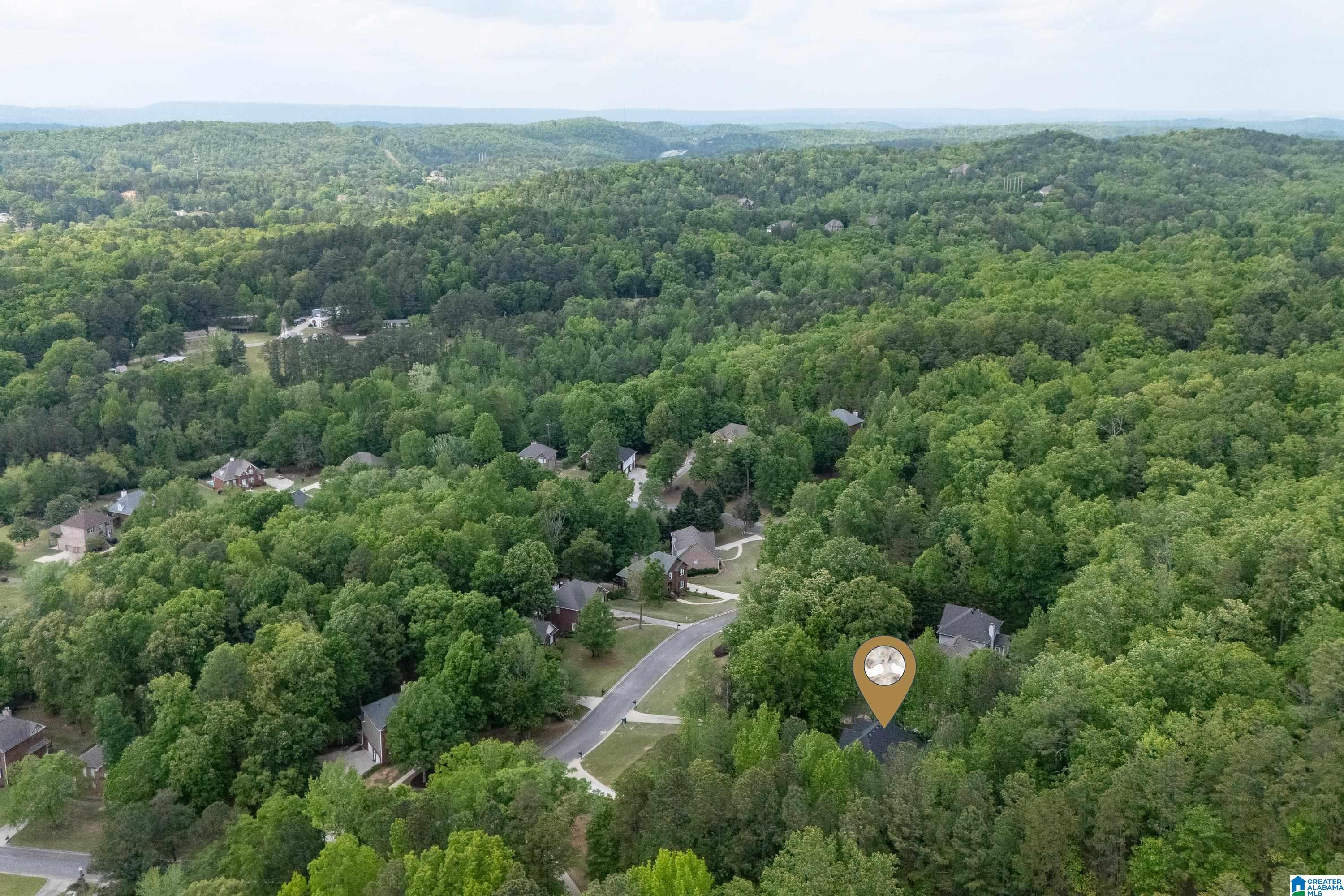 192 Silverleaf Drive Pelham, AL 35124 - Photo 52 of 57