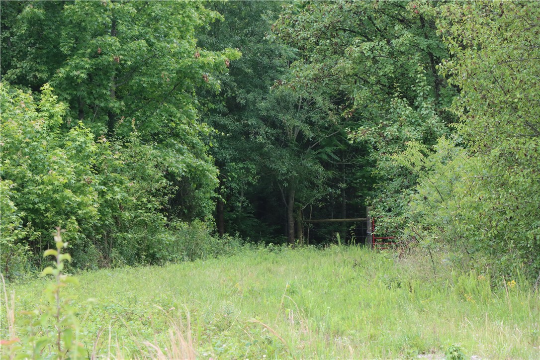 0 Young Road Starr, SC 29684 - Photo 3 of 3
