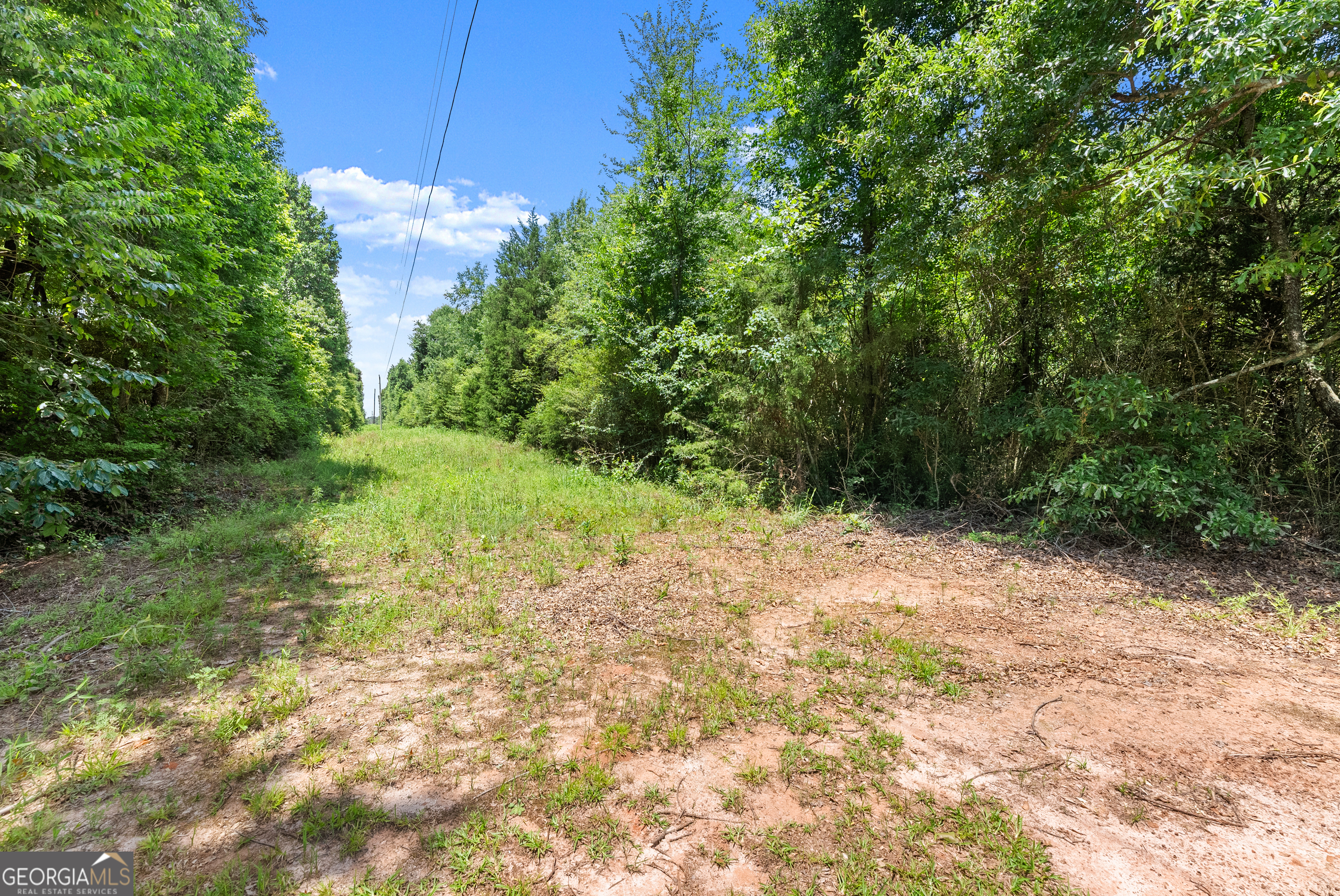 0 Mountain Creek Church Road Talmo, GA 30567 - Photo 11 of 25