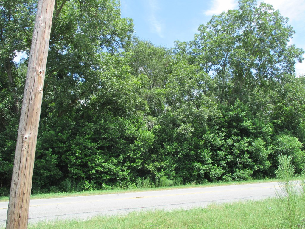 6535 Dinkins Mill Road Rembert, SC 29128 - Photo 4 of 4