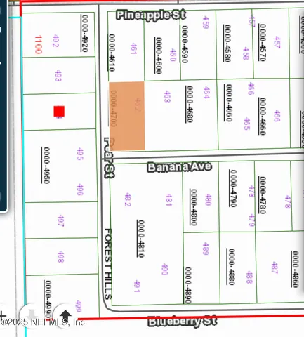 $26,500 | 0 Banana Avenue, Welaka, FL 32181
