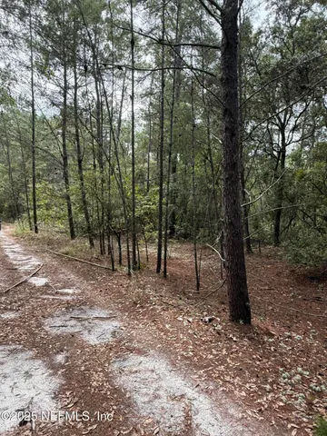 a view of outdoor space with lots of trees