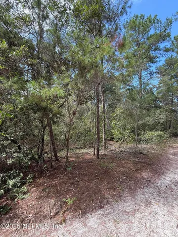 a view of outdoor space with trees