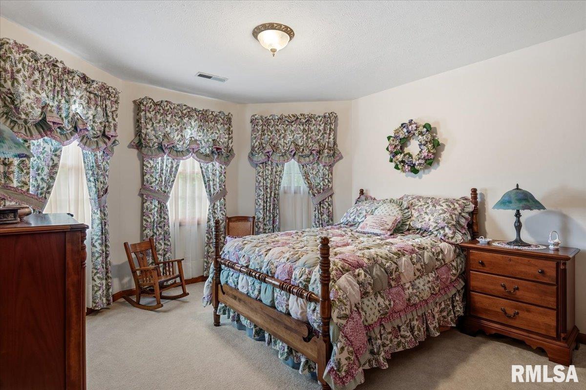 49 Woodland Trail Rochester, IL 62563 - Photo 41 of 98