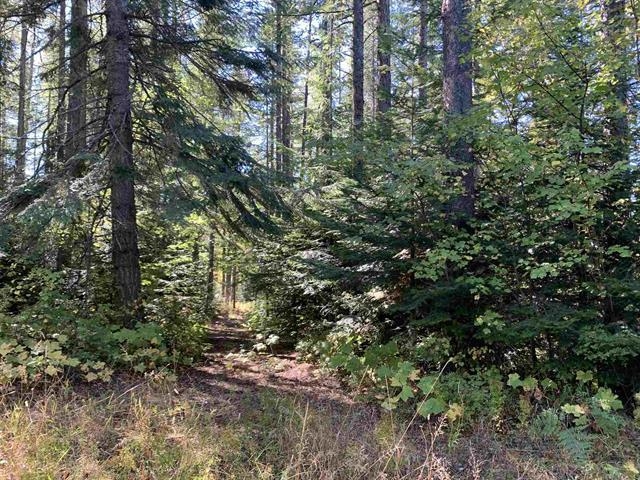 176-xx East Tallman Road, Unit 2 Chattaroy, WA 99003 - Photo 3 of 6