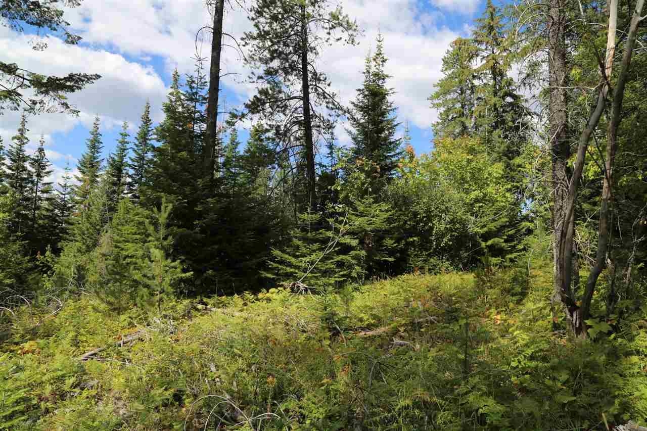 176-xx East Tallman Road, Unit 2 Chattaroy, WA 99003 - Photo 4 of 6